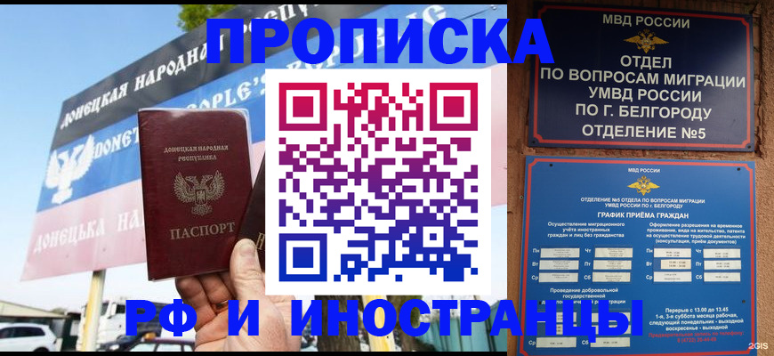 временная регистрация 2025 в Козловке
